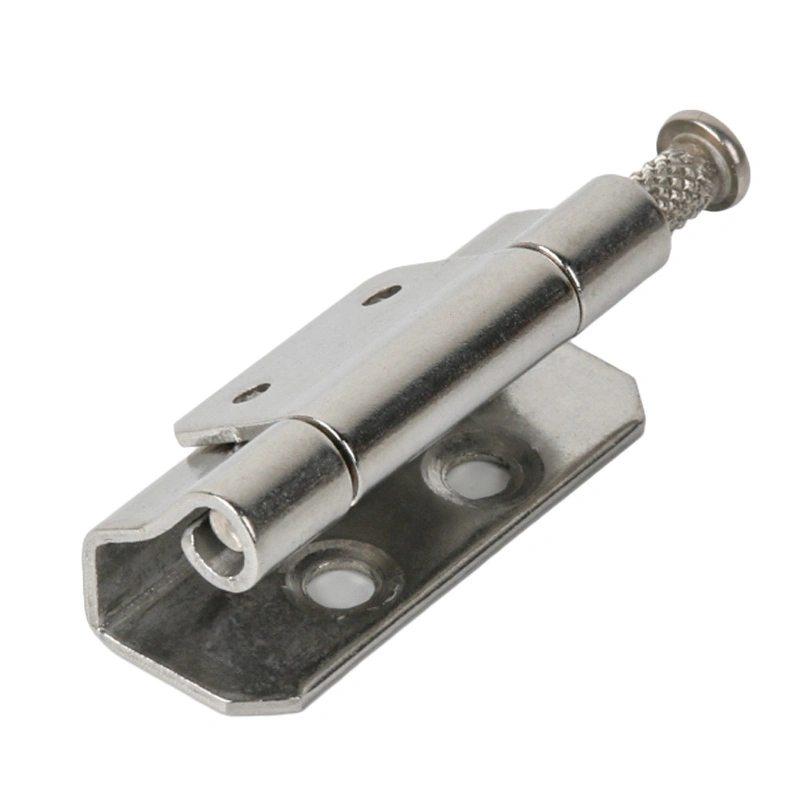 कॅबिनेटने बिजागर लपविला कॅबिनेटने बिजागर लपविला